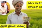 AP Farmers Cotton Price 2025