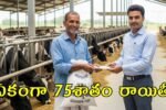 AP dairy farmers scheme 2025